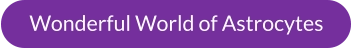 Wonderful World of Astrocytes