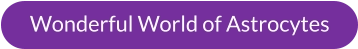 Wonderful World of Astrocytes