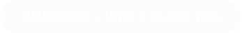 Alzheimer's Type II Astrocytes