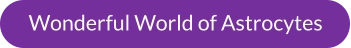 Wonderful World of Astrocytes