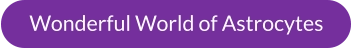 Wonderful World of Astrocytes